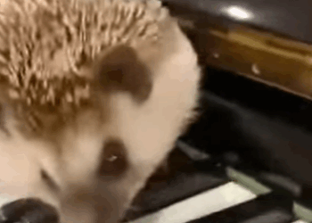 T0208011 From homeless to hopeful part2