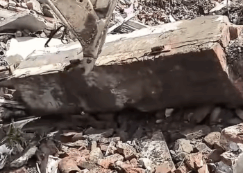 T0208021 dog dogsoftiktok poordog part2