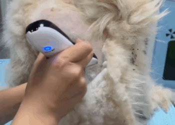 T2607036 Rescue dog living in garbage and then rescue fyp anime dog part2