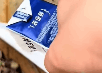 T0208029 cat catsoftiktok poorcat part2