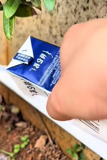 T0208029 cat catsoftiktok poorcat part2