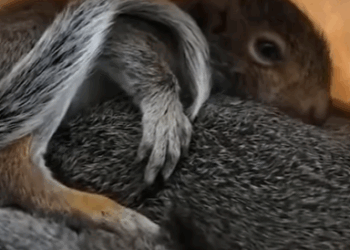 T0208014 Second chance = new life part2