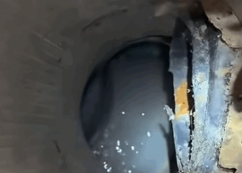 T0208030 cat catsoftiktok rescuecat part2