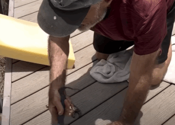 T0208004 Senior Citizens Come Together To Rescue Seven Tiny Puppies part2