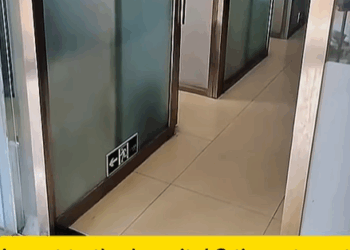 T2307023 memorable journey with kitten abandoned in landfill animals an part2