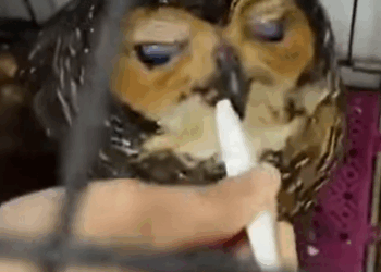 T0208009 New life begins today part2