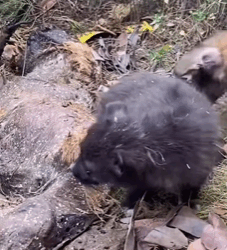 T0209004 A fragile body, a tired soul—yet love gave strength for a new beginning part2