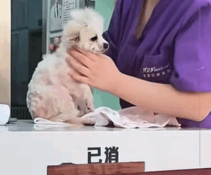 T0608018 This is heart breaking thing part2