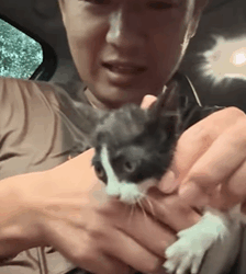 T0209015 Rescue kitty that was abandoned by its mom and then rescue animal part2