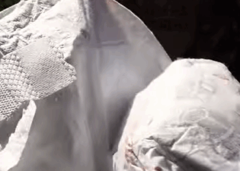 T0608034 This fruit was thought to be a waste but this family turned it into a part2