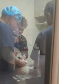 T0209038 Rescue a stray cat move rescue love fypシ adoptme save poor part2