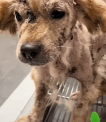 T0209006 From trembling in the dark to sleeping peacefully in a warm bed part2