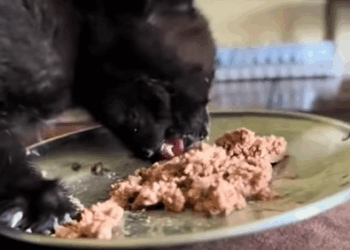 T0209003 He didn’t need much, just someone to believe his life was worth saving part2