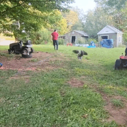 T1808037 This goose was drowning and luckily saved it animal rescue rescu part2