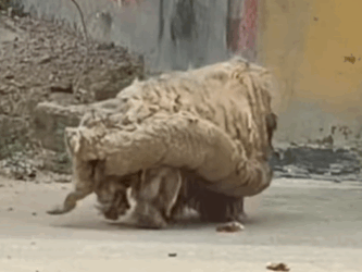 T0209008 What was once fear has now been replaced by joy and trust part2