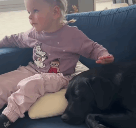 T1808017 The kind family rescue the puppy thrown away in the trash and have a part2