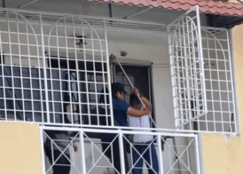 T0209080 saw cat perched precariously on top of very high window sill part2