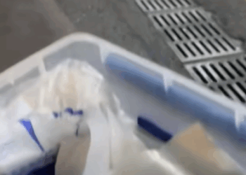 T2108021 Rescue newborn puppy and then rescue fyp animals dog puppy part2