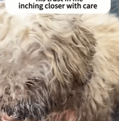 T0209007 It takes just one person to turn a forgotten life into a story of hope part2