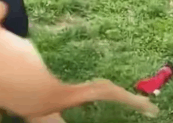 T2108015 Rescue the Dog rescue rescueanimals animals part2