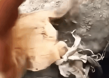 T1508045 Rescue and adopt a puppy RescuePuppy AdoptDontShop part2