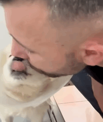 T1809050 This dog was abandoned with broken legs and was adopted part2