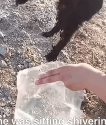 T1809061 Body was covered with wounds she sat helplessly under the hot sun part2