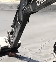 T1809042 Rescuing the deer that fell into the swamp and the wonderful thing part2