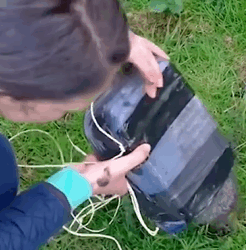 T1809041 Rescuing and adopting poor baby hedgehog that fell into sewer part2