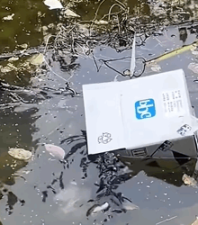 T1809037 rescue poor kitten rescueanimals animals animalslover foru part2