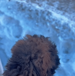 T1009057 have poor baby who lost his mother part2