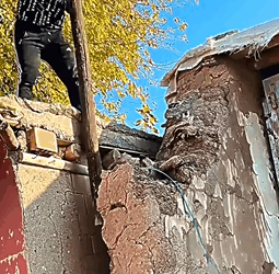 T1809036 Rescue poor dog the real heros save Animals animalsoftiktok part2