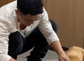 T0509042 Poor dog pet xuhuong fyp trending dog petsoftiktok dogsoftiktok part2