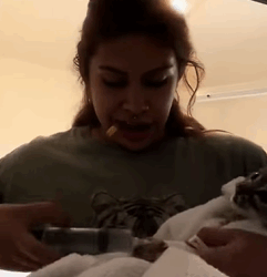 T1809010 The man found trapped baby bobcat and rescued it part2