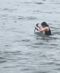 T2509036 saved kitten from drowning in the water while was traveling part2