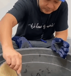 T1809065 Man adopted three baby owls abandoned by their mother animal rescue part2