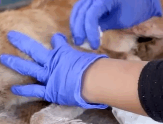 T0609104 Her name is Jenny and she s a living miracle part2