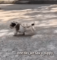 T2510032 He Kept Running From Everyone Until One Moment Changed His Life part2