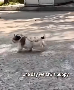 T2510032 He Kept Running From Everyone Until One Moment Changed His Life part2