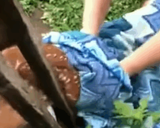 T0910036 Rescue a baby deer animal rescue rescueanimals animalsoftiktok part2