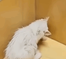 T2510037 She Came Alone But Left and Returned With Life Changing Gift People part2