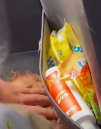 T0411047 The puppy was abandoned by its owner in the middle of the street and part2