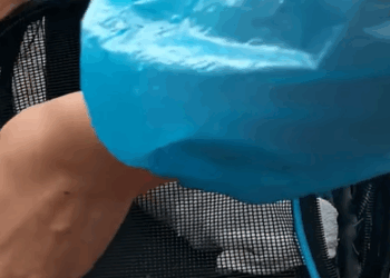 T0411018 Rescue baby cat rescue animalsoftiktok rescueanimals fyp catsoftiktok part2