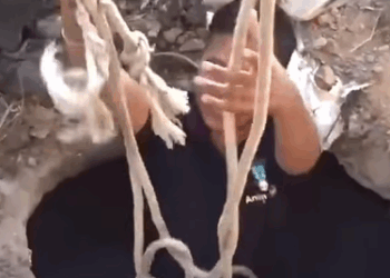 T0411038 Rescue the donkey that fell into the pit and the ending part2