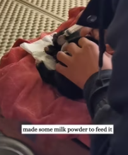 T2611074 On rainy day, rescue little puppy on road #fyp #rescue _part2