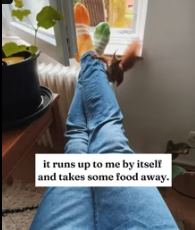 T2611063 made friends little squirrel while running.Unexpectedly,the_part2