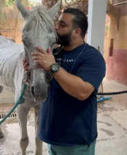 T2611037 Rescued an abandoned white horse ruins!#rescue #animals #fyp part2