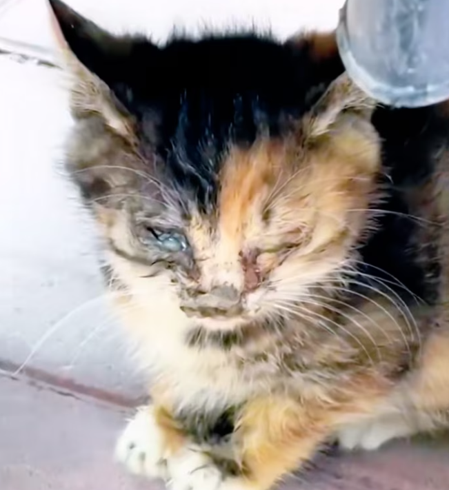 T3112018 He could barely see… but he still cried for help.