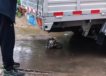 T3112022 Every sound above him felt like the end.