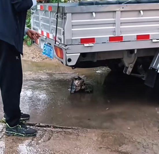 T3112022 Every sound above him felt like the end.